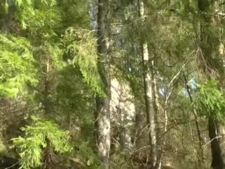 Screaming orgasm in the forest cought on cam