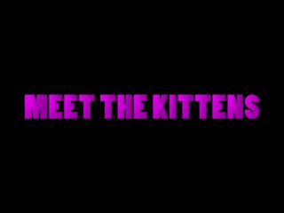 MEET THE KITTENS
