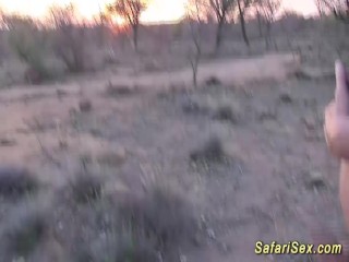 extreme african safari sex orgy