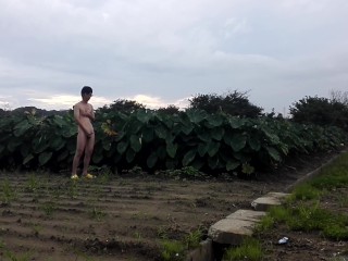 【6 Scene】Japanese boy peeing in public.