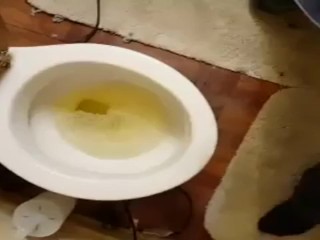 Small compilation of boyfriend pissing