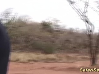 african babe picked up for outdoor fuck