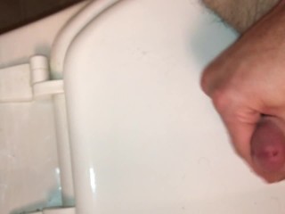 Young 21 Year Old Boy Mastrubates On Freinds Toilet. Cum Shot.