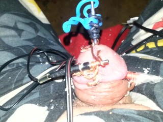 Electro torture my tiny penis feel free to humiliate it