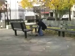 Shoe Dangle in the Park