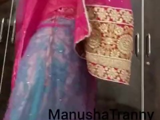 Remove my saree - Escort girl Manusha Tranny being enjoyed by a client