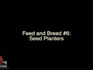 Feed & Breed 6 Seed Planters- Flavaworks.com