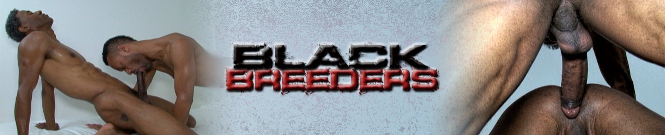 Black Breeders Pornstars - Black Breeders Porn Videos & HD Scene Trailers | Pornhub