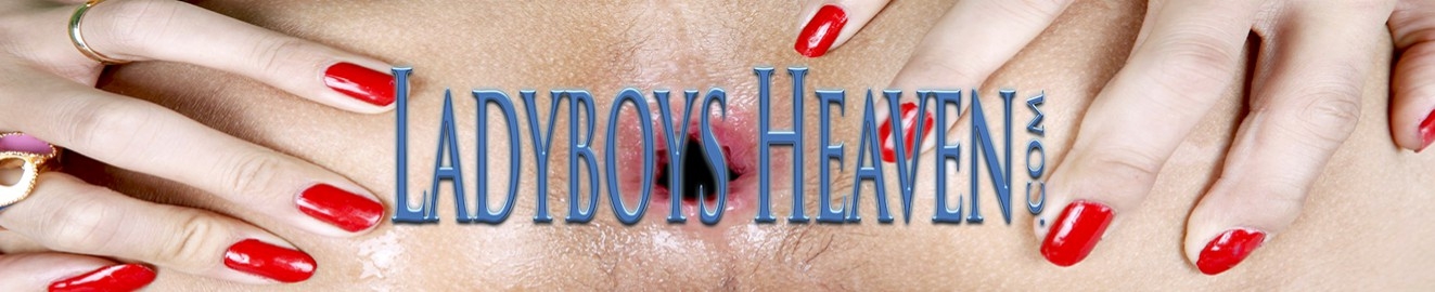 1323px x 270px - Ladyboys Heaven Porn Videos & HD Scene Trailers | Pornhub