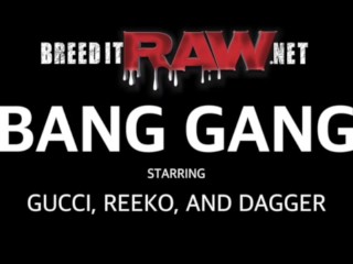 BreedItRaw Bang Gang Gucci Starr, Dagger, Reeko
