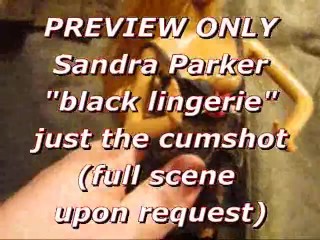 PREVIEW: Sandra Parker (black lingerie) blasted