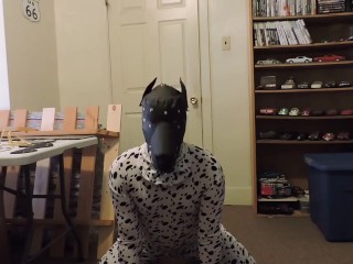 Just a short puppy play vid