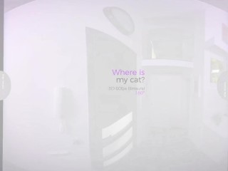 VirtualRealTrans.com - Where is my cat