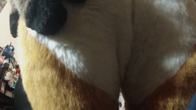 Pornhub Big Ass Furry - Furry Lapdance Simulator