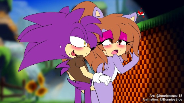 Bisexual Cartoon Porn Sonic - Sonic OC Characters (commission) - Pornhub.com