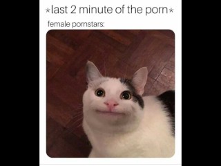 Funny Porn Memes You Will Explode To