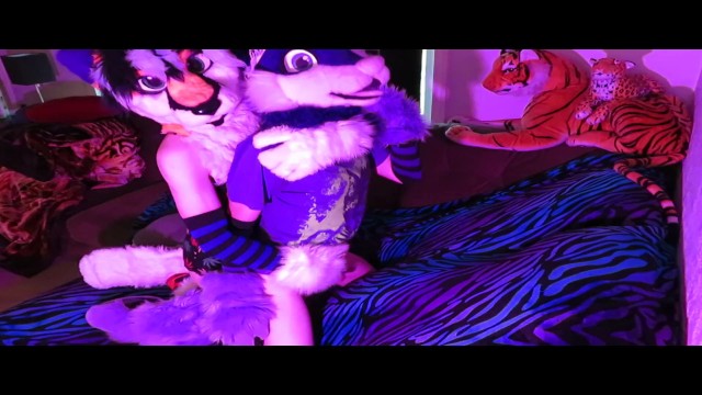 640px x 360px - Stazz domming Wuffles (Fursuit Yiff)