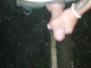 Night outdoor jerking, showing balls and cumshot on tree trunk