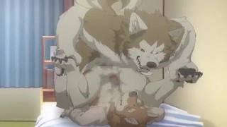 Gay furry hentai xxx full mobile porn videos & sex movies for Android,  iPhone - 18Dreams.Net